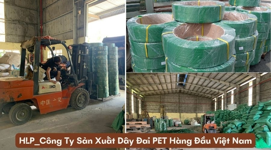 Top 5 Công Ty Sản Xuất Dây Đai PET Tại Việt Nam